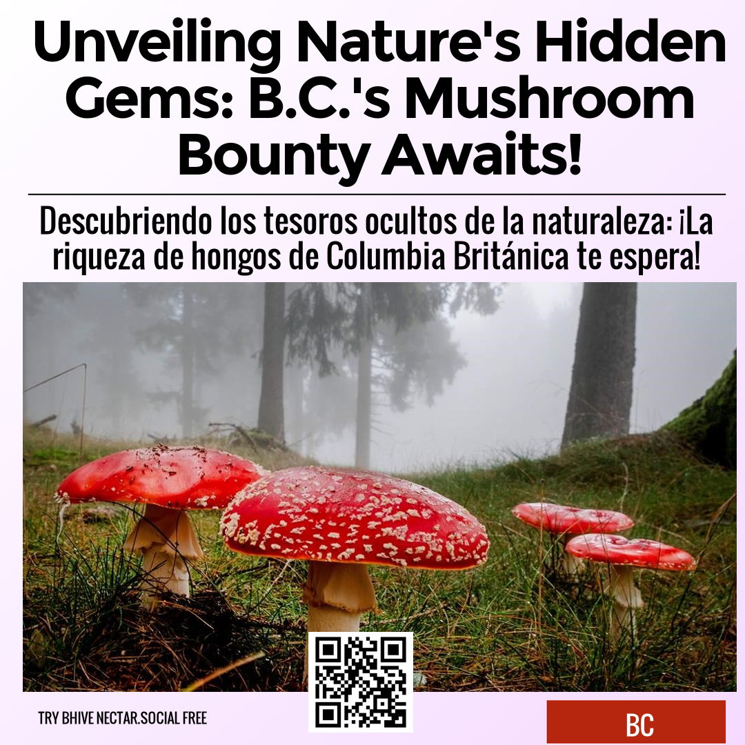 Unveiling Nature's Hidden Gems: B.C.'s Mushroom Bounty Awaits!