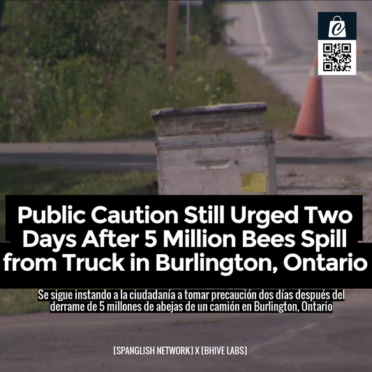 Public Caution Still Urged Two Days After 5 Million Bees Spill from Truck in Burlington, Ontario