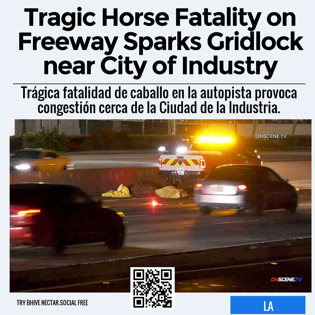 Tragic Horse Fatality on Freeway Sparks Gridlock near City of Industry