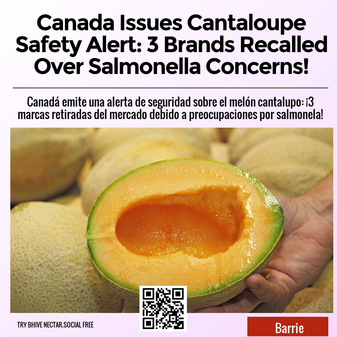 Canada Issues Cantaloupe Safety Alert: 3 Brands Recalled Over Salmonella Concerns!