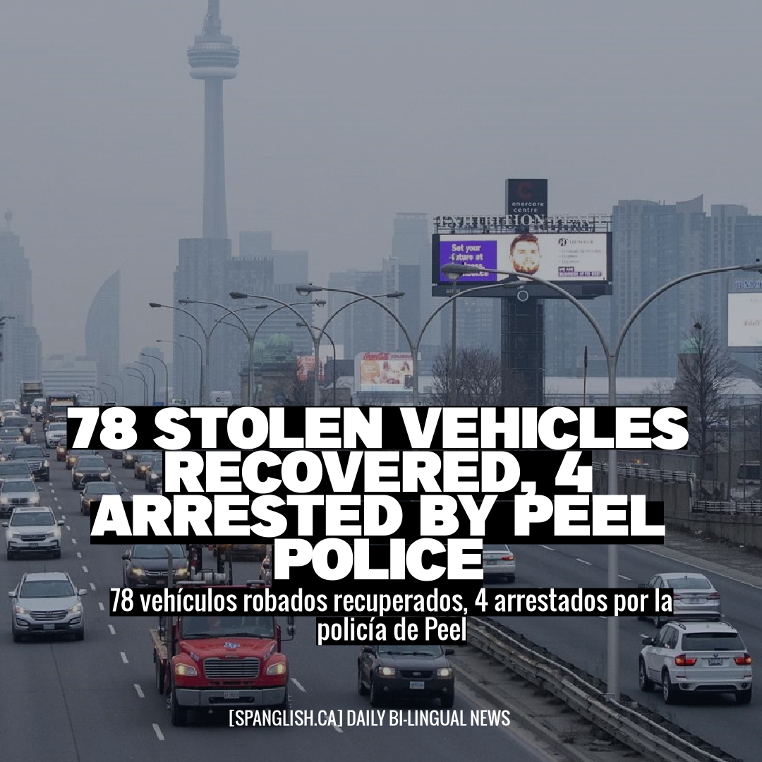 78 Stolen Vehicles Recovered, 4 Arrested by Peel Police