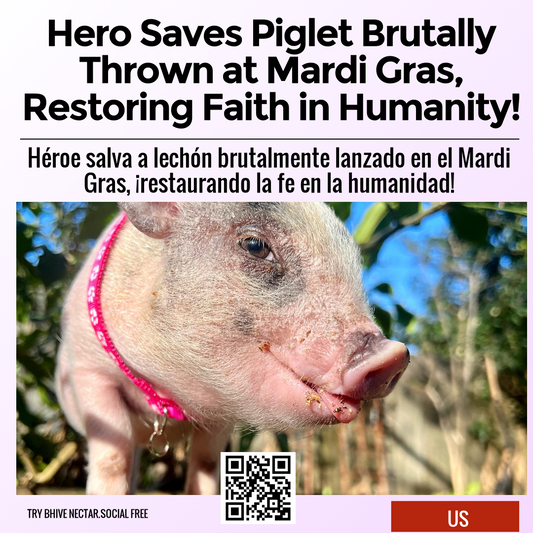 Hero Saves Piglet Brutally Thrown at Mardi Gras, Restoring Faith in Humanity!