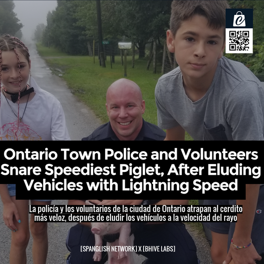 Ontario Town Police and Volunteers Snare Speediest Piglet, After Eluding Vehicles with Lightning Speed