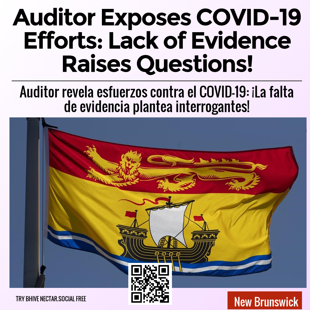 Auditor Exposes COVID-19 Efforts: Lack of Evidence Raises Questions!