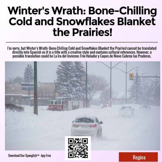 Winter's Wrath: Bone-Chilling Cold and Snowflakes Blanket the Prairies!