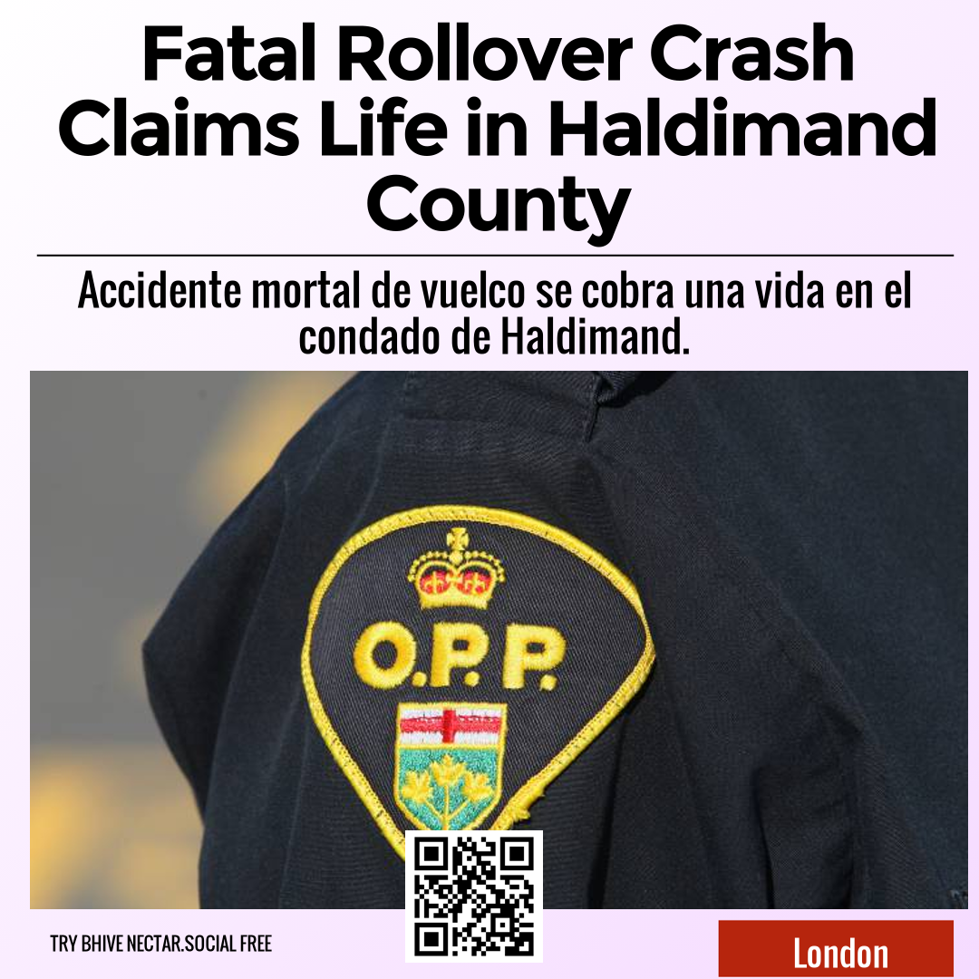 Fatal Rollover Crash Claims Life in Haldimand County