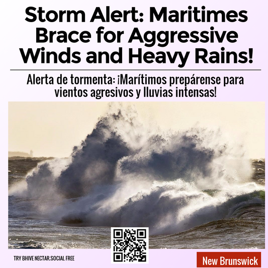 Storm Alert: Maritimes Brace for Aggressive Winds and Heavy Rains!