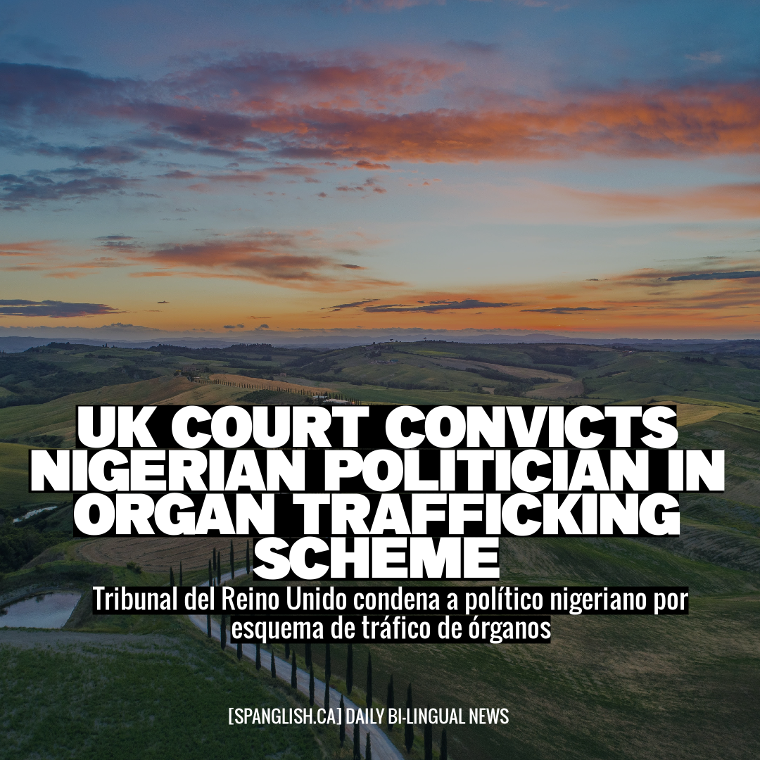 UK Court Convicts Nigerian Politician in Organ Trafficking Scheme