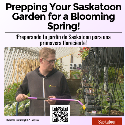 Prepping Your Saskatoon Garden for a Blooming Spring!