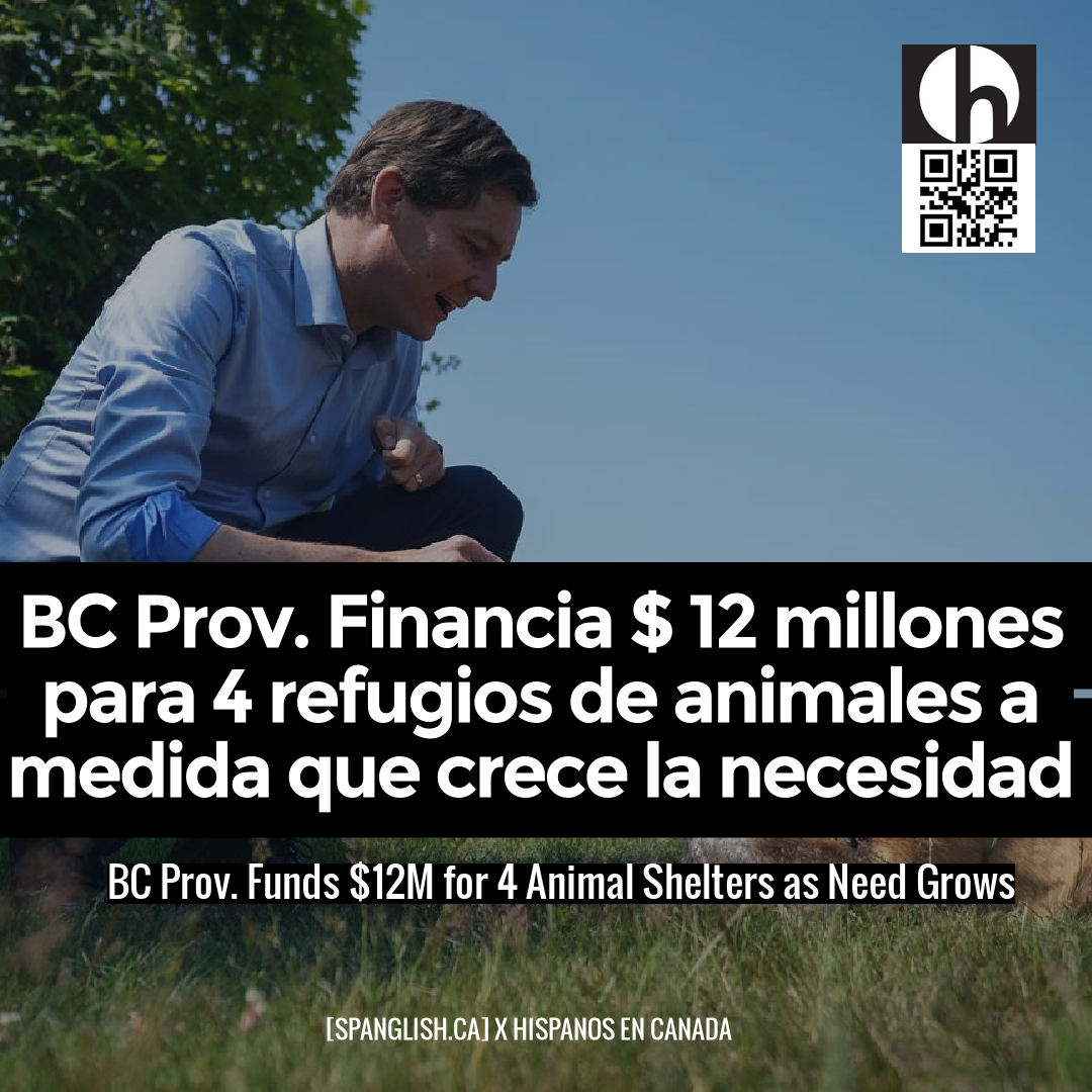 BC Prov. Funds $12M for 4 Animal Shelters as Need Grows