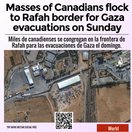 Masses of Canadians flock to Rafah border for Gaza evacuations on Sunday