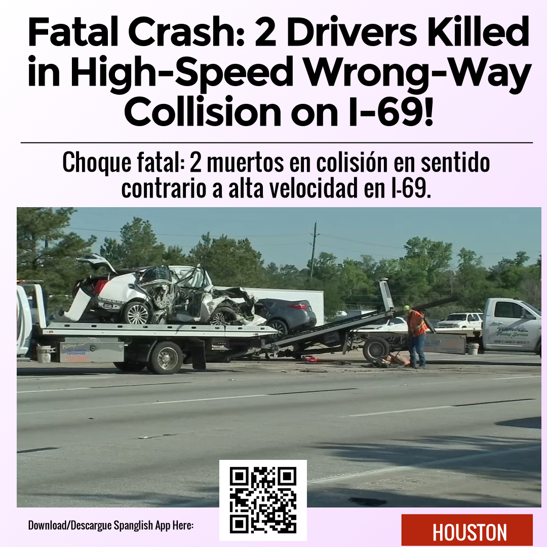 Fatal Crash: 2 Drivers Killed in High-Speed Wrong-Way Collision on I-69!