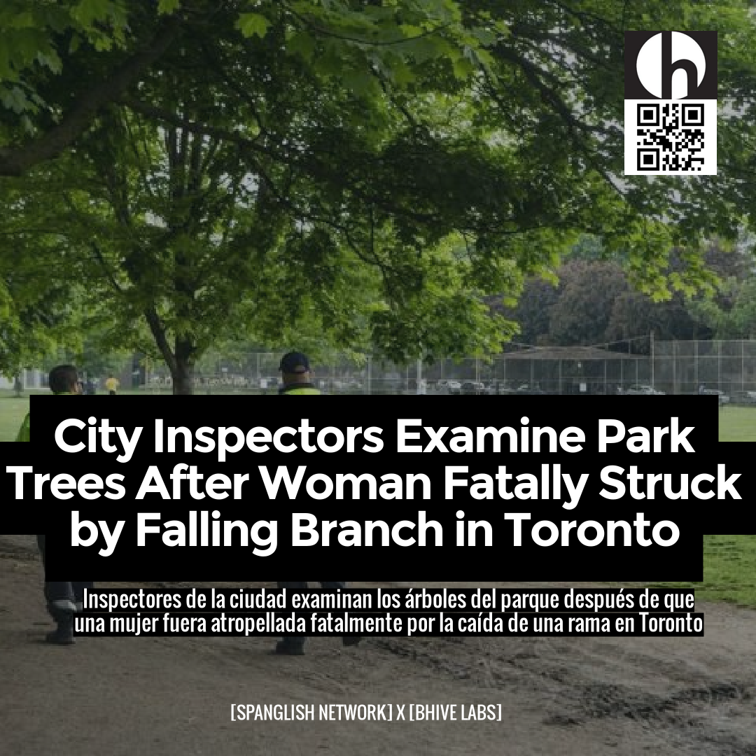 City Inspectors Examine Park Trees After Woman Fatally Struck by Falling Branch in Toronto