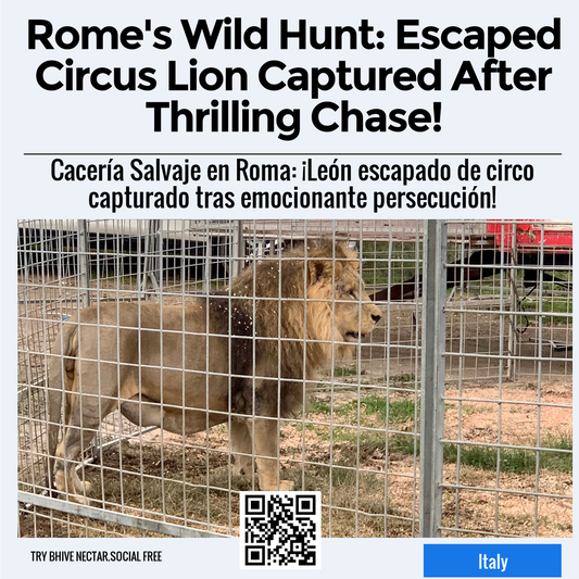 Rome's Wild Hunt: Escaped Circus Lion Captured After Thrilling Chase!