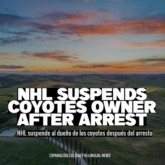 NHL Suspends Coyotes Owner After Arrest