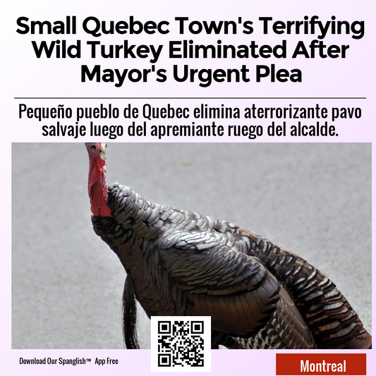 Small Quebec Town's Terrifying Wild Turkey Eliminated After Mayor's Urgent Plea