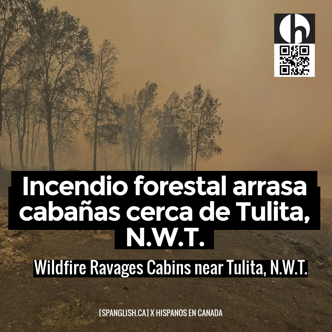 Wildfire Ravages Cabins near Tulita, N.W.T.
