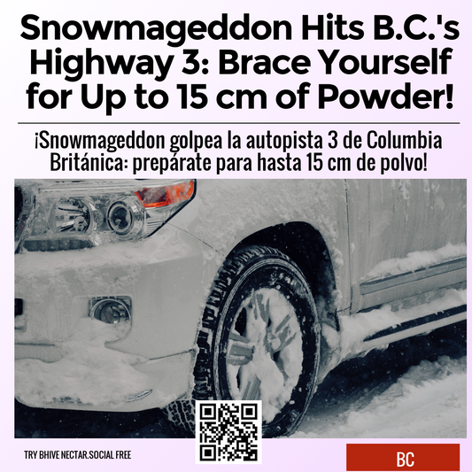 Snowmageddon Hits B.C.'s Highway 3: Brace Yourself for Up to 15 cm of Powder!