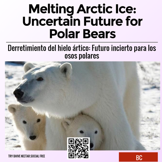 Melting Arctic Ice: Uncertain Future for Polar Bears