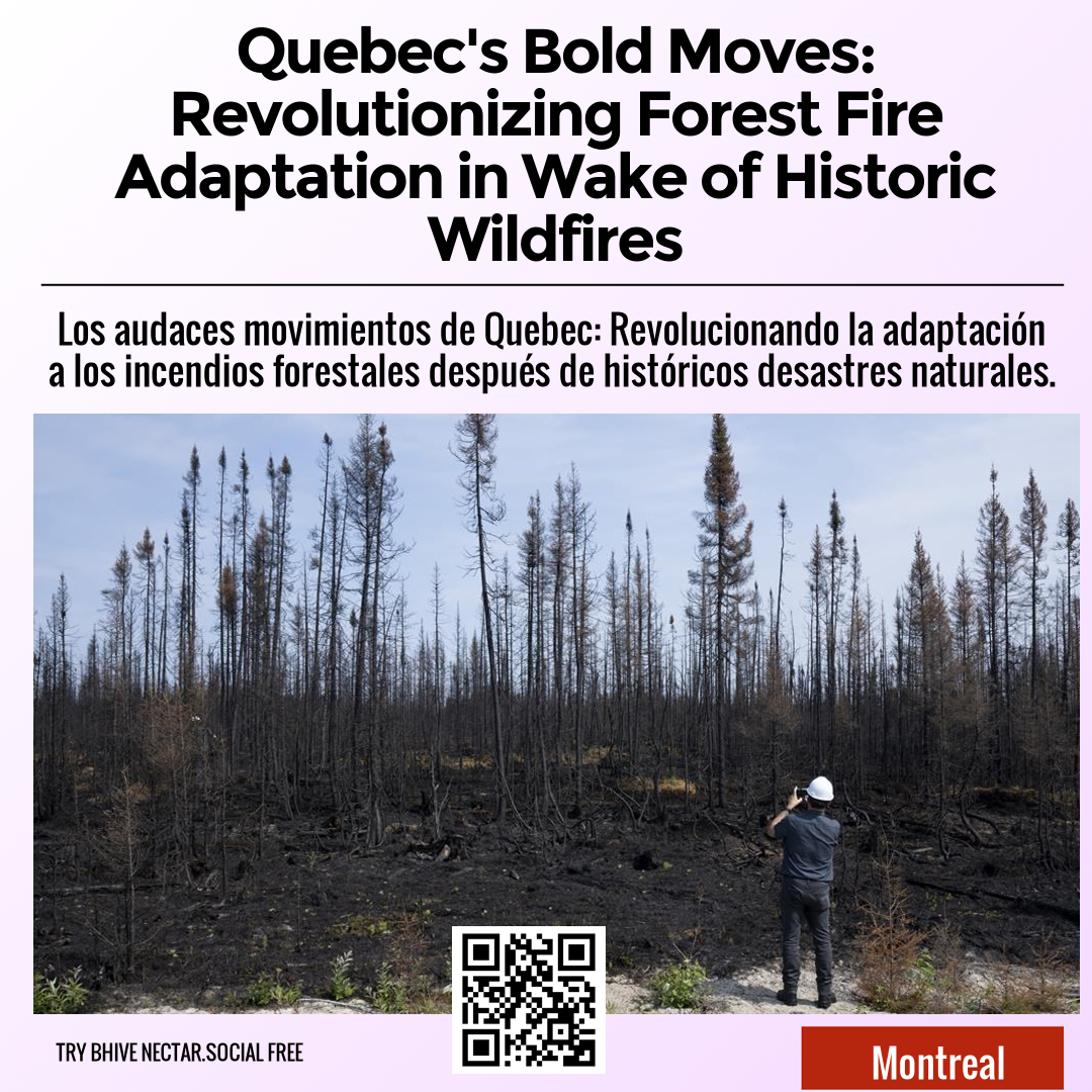 Quebec's Bold Moves: Revolutionizing Forest Fire Adaptation in Wake of Historic Wildfires