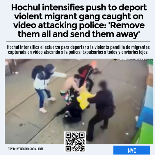 Hochul intensifies push to deport violent migrant gang caught on video attacking police: 'Remove them all and send them away'