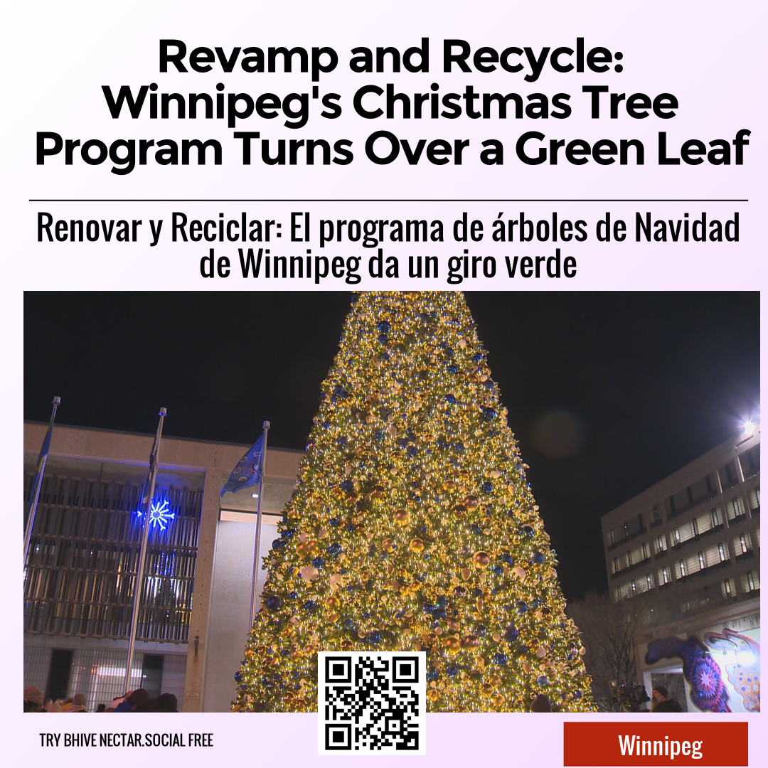 Revamp and Recycle: Winnipeg's Christmas Tree Program Turns Over a Green Leaf