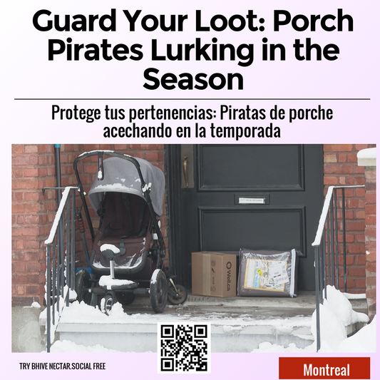 Guard Your Loot: Porch Pirates Lurking in the Season