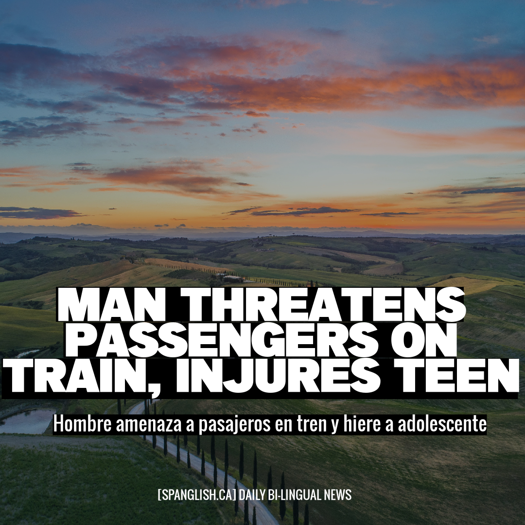 Man Threatens Passengers on Train, Injures Teen