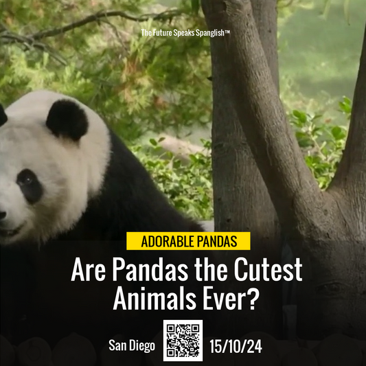 Watch Pandas Live: San Diego Zoo's Adorable New Cam!