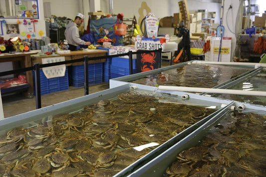 California's Dungeness crab season postponed for 6th straight year to safeguard whales.