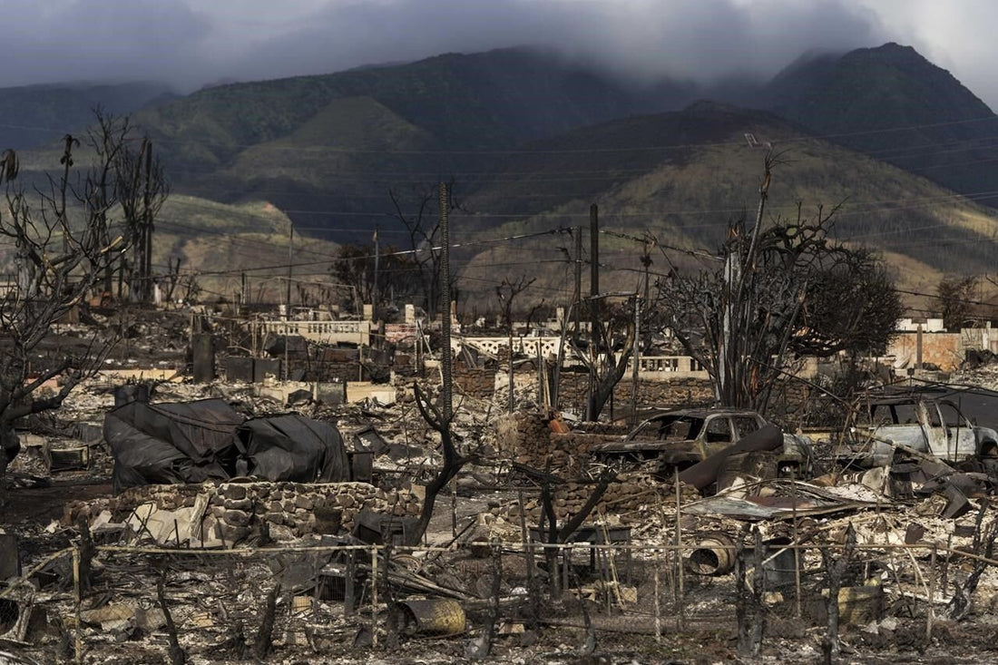 Maui police release 16 minutes of body camera footage from day of Lahaina wildfire