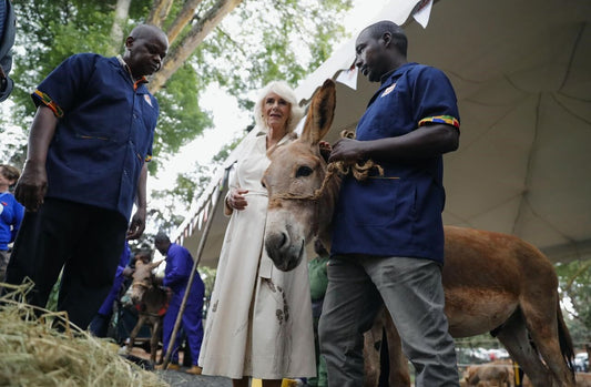 King Charles III visits war cemetery in Kenya after voicing 'deepest regret' for colonial violence