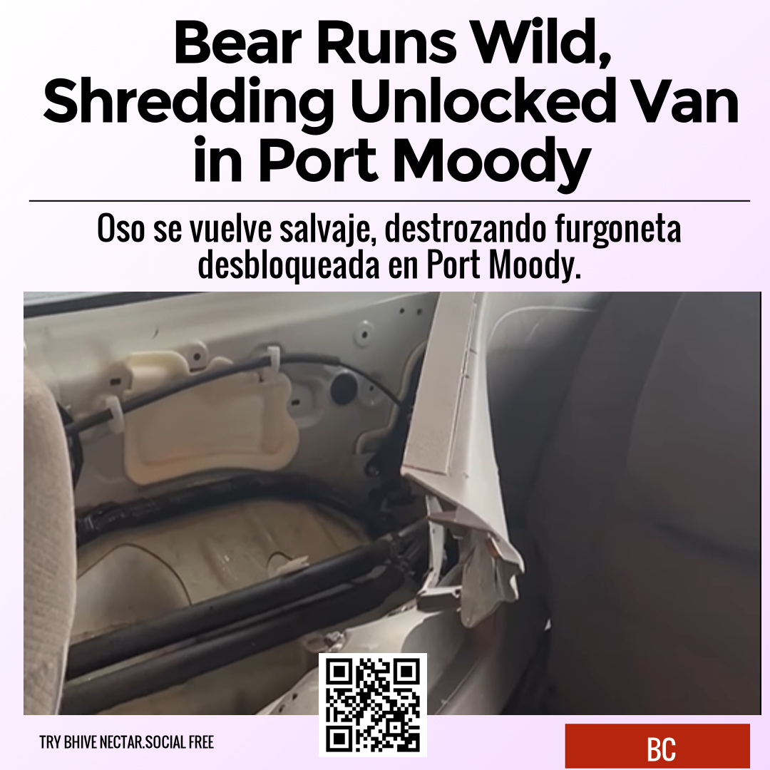 Bear Runs Wild, Shredding Unlocked Van in Port Moody