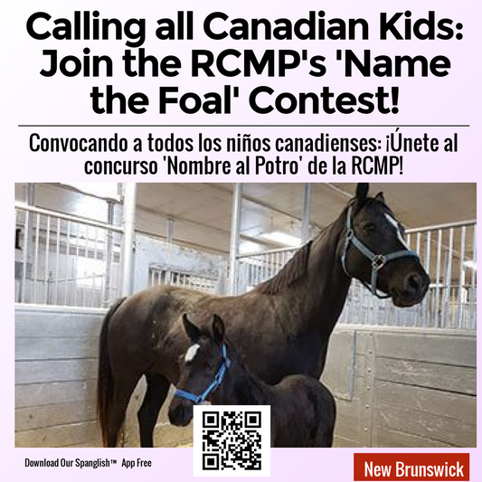 Calling all Canadian Kids: Join the RCMP's 'Name the Foal' Contest!