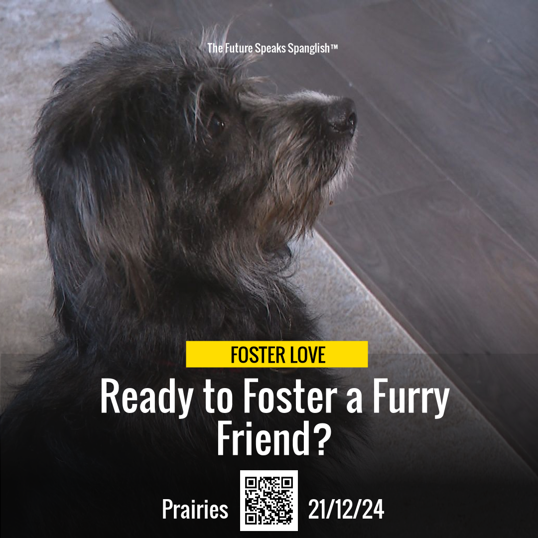 Warm Hearts Needed: Foster Dogs This Winter in Saskatchewan!