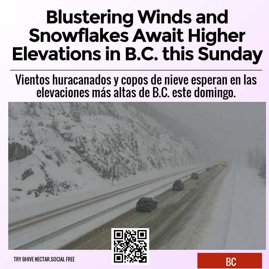 Blustering Winds and Snowflakes Await Higher Elevations in B.C. this Sunday