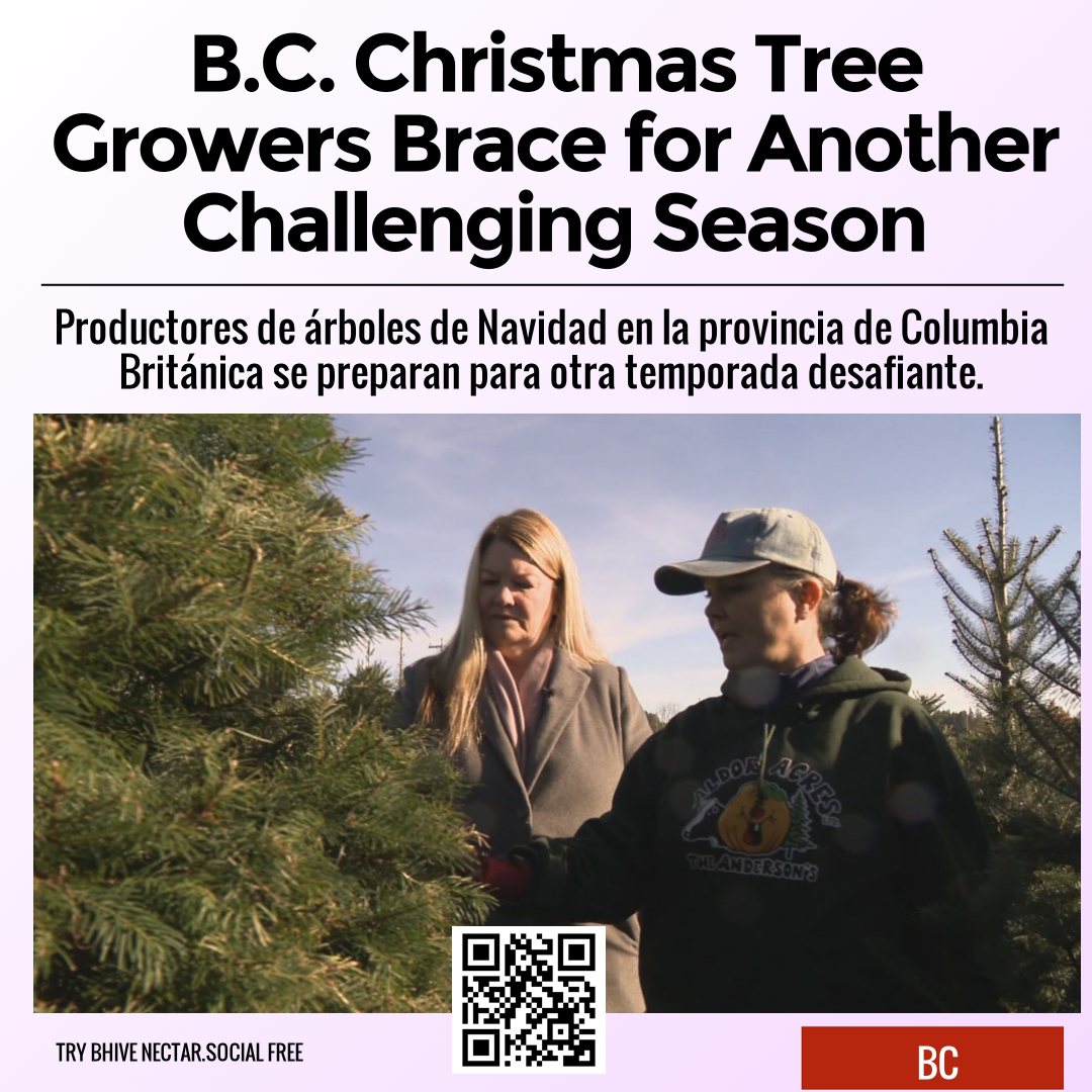 B.C. Christmas Tree Growers Brace for Another Challenging Season