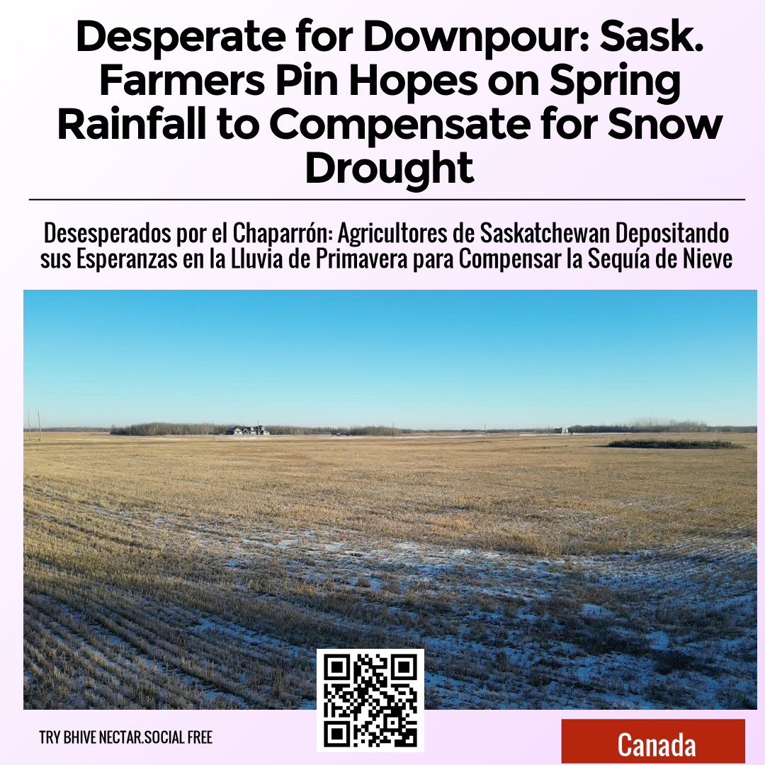 Desperate for Downpour: Sask. Farmers Pin Hopes on Spring Rainfall to Compensate for Snow Drought
