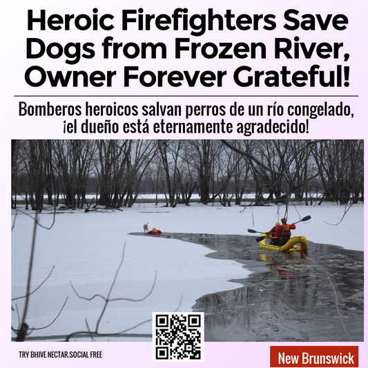 Heroic Firefighters Save Dogs from Frozen River, Owner Forever Grateful!