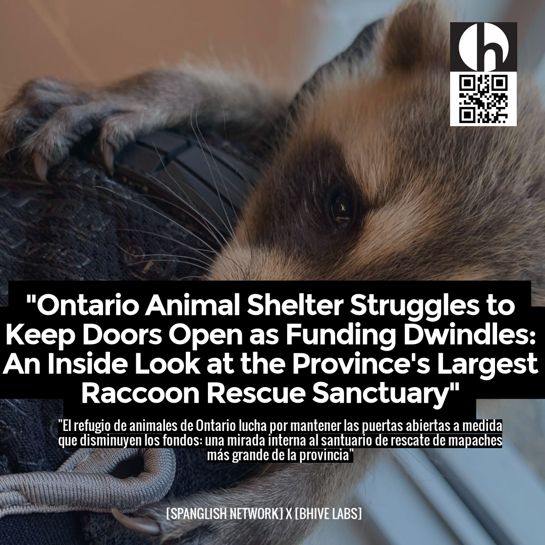 "Ontario Animal Shelter Struggles to Keep Doors Open as Funding Dwindles: An Inside Look at the Province's Largest Raccoon Rescue Sanctuary"