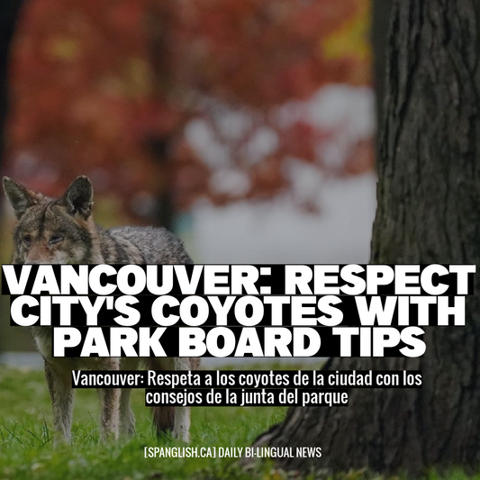 Vancouver: Respect City's Coyotes with Park Board Tips