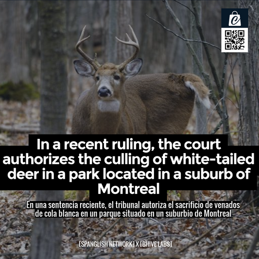 In a recent ruling, the court authorizes the culling of white-tailed deer in a park located in a suburb of Montreal