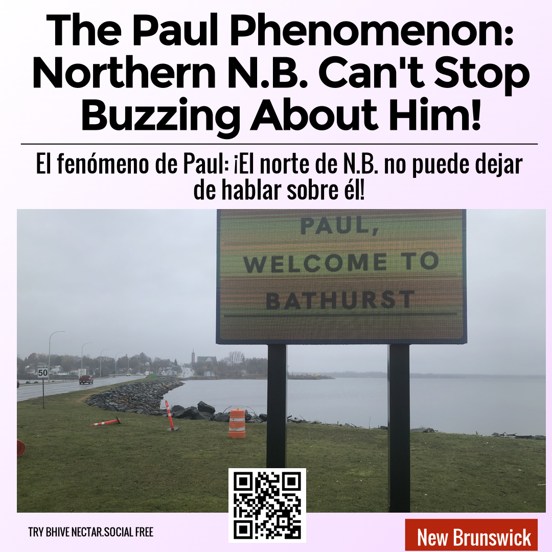 The Paul Phenomenon: Northern N.B. Can't Stop Buzzing About Him!