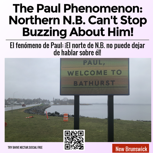 The Paul Phenomenon: Northern N.B. Can't Stop Buzzing About Him!