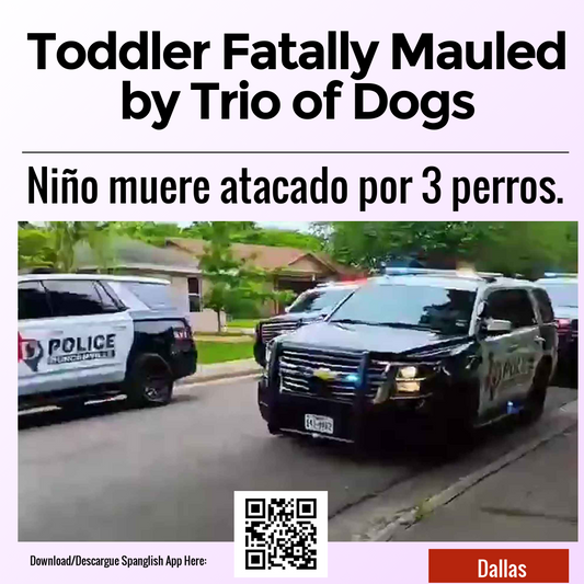 Toddler Fatally Mauled by Trio of Dogs