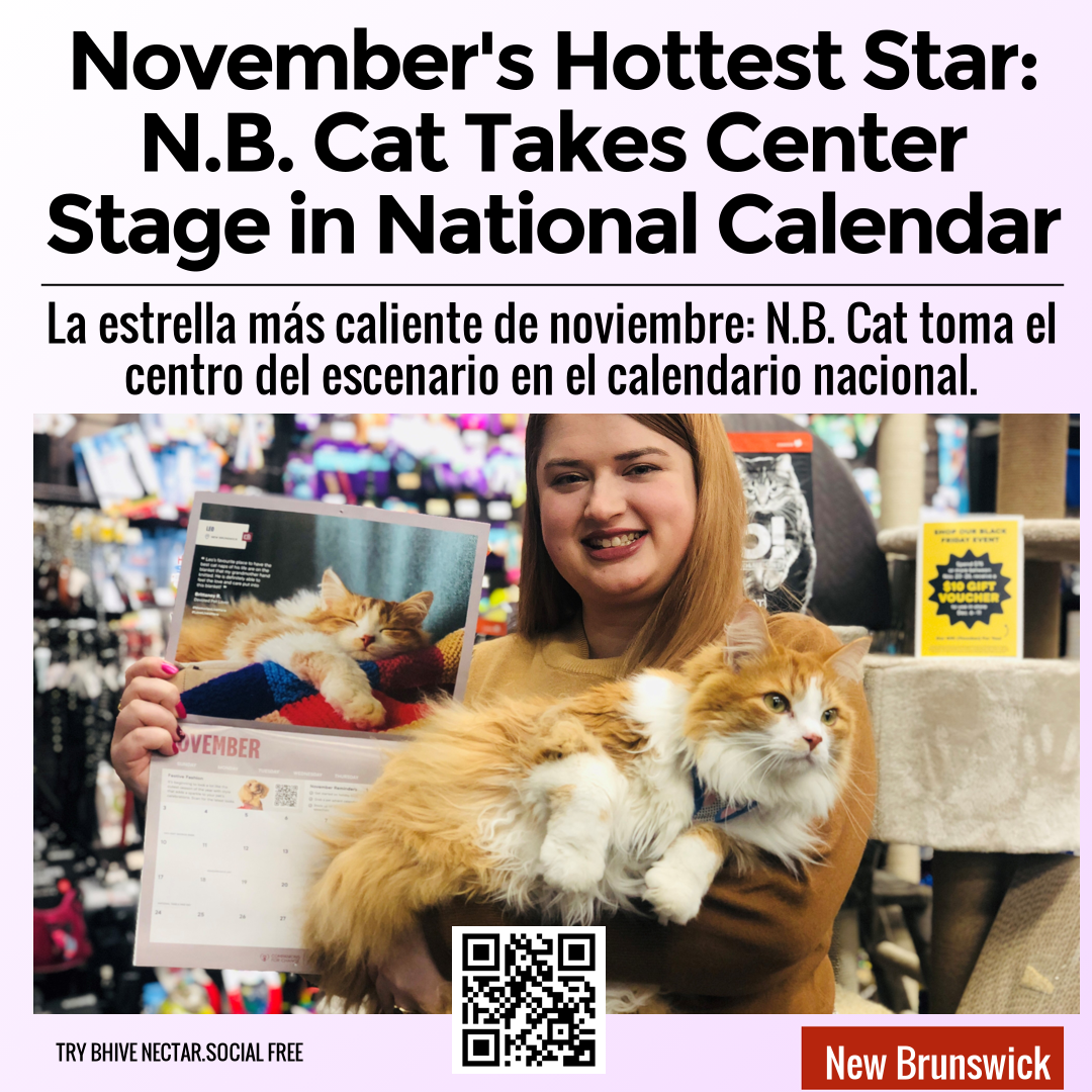 November's Hottest Star: N.B. Cat Takes Center Stage in National Calendar