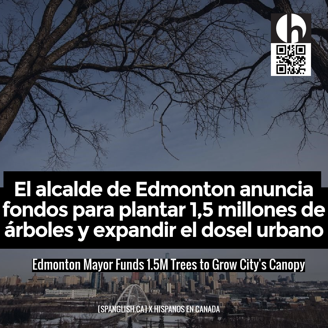 Edmonton Mayor Funds 1.5M Trees to Grow City's Canopy
