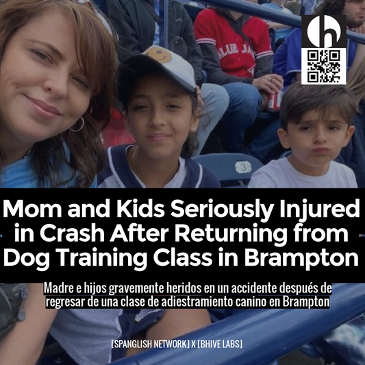 Mom and Kids Seriously Injured in Crash After Returning from Dog Training Class in Brampton