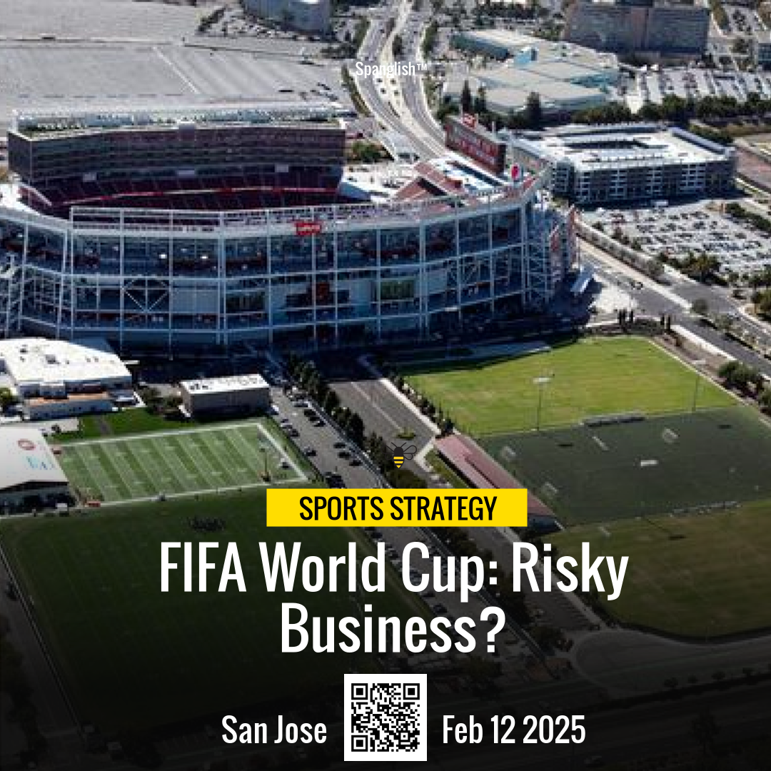 FIFA World Cup: Risky Business?