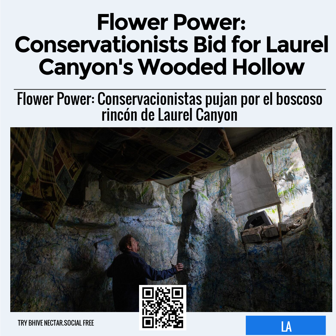 Flower Power: Conservationists Bid for Laurel Canyon's Wooded Hollow